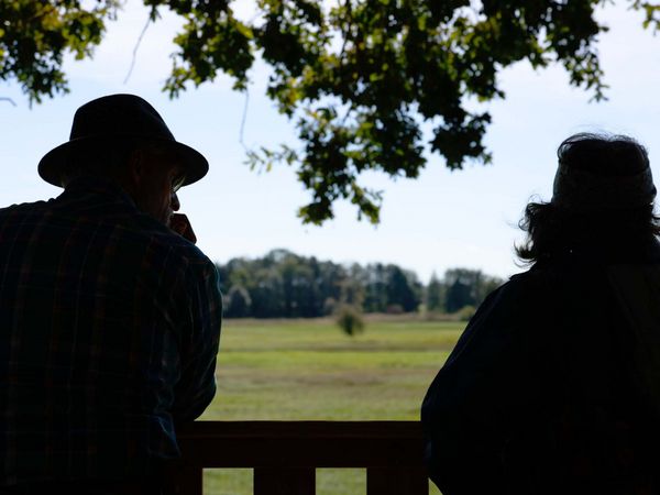 Menschen stehen auf dem Aussichtsturm im Wiesenbrütergebiet Thonstetten, Landkreis Freising, und schauen auf die Landschaft.