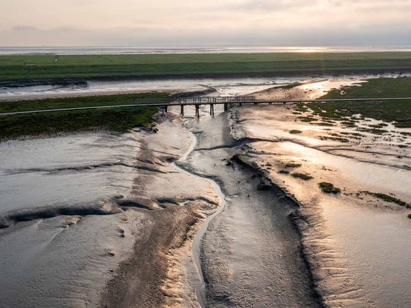 Der Langwarder Groden bei Sonnenuntergang – das gold-gelbe Licht der Sonne spiegelt sich im Wattboden. 