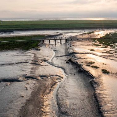 Der Langwarder Groden bei Sonnenuntergang – das gold-gelbe Licht der Sonne spiegelt sich im Wattboden. 