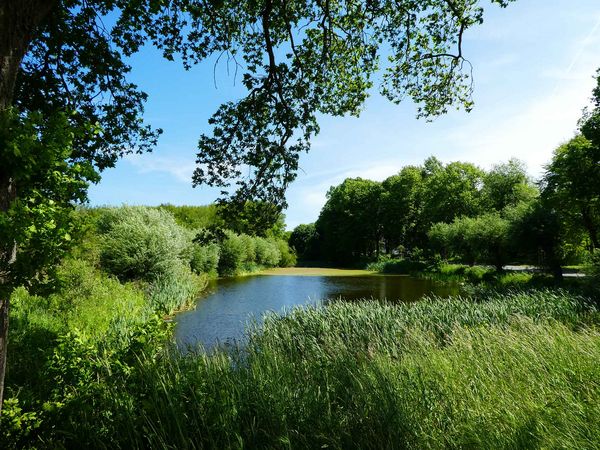 Der Dorfteich „Mönchsoll“ in Patzig auf Rügen.