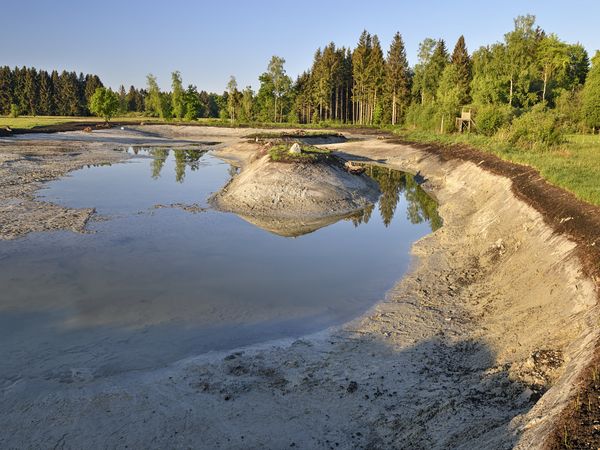 Die Baumaschienen sind abgezogen, der Weiher füllt sich langsam mit Wasser. Erste Pflanzen erobern die Inseln bereits.