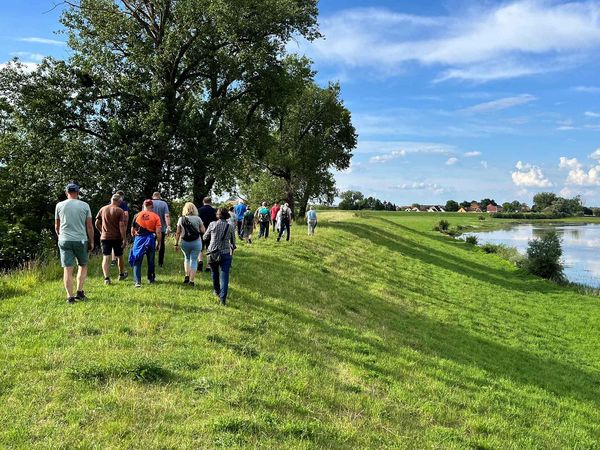 Exkursion an der Alten Elbe Bösewig, am 25.05.2024 zur Vorstellung der geplanten Maßnahmen. 