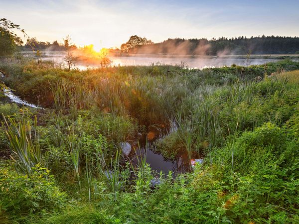 Naturlandschaft bei Tagesanbruch